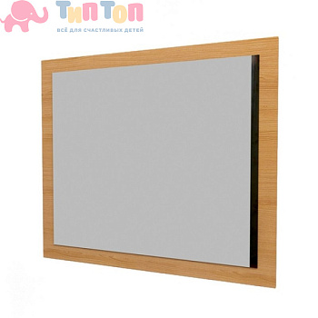 zerkalo-dlya-sanuzla_0