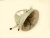 7f802f99731a0004267964cd13255cdc