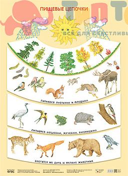 59876d2c21d4c4cf4309063899a5e581