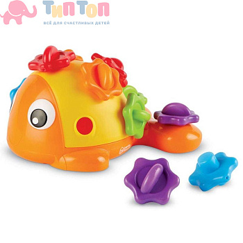 9093-finnfinemotorfish-1_sh-1