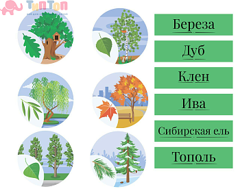 jyjsn6mts8eh6c350mjtc2jws1x4z4fz