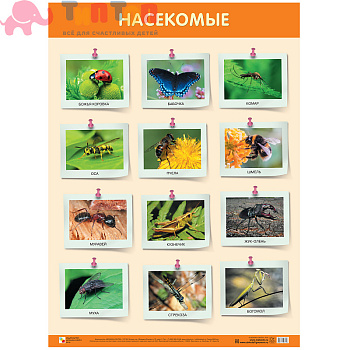 987d91f081cc89fdf46292b41d597b30