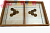 Screenshot_96