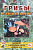 Грибы. Какие они? Знакомство с окружающим миром, развитие речи. А5