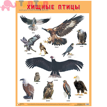 ef1a32853bc9878b45a415d477d6407c