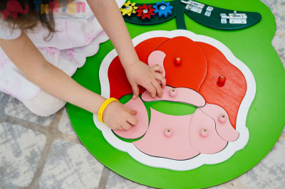 54506_Бизиборд «Роза»_4